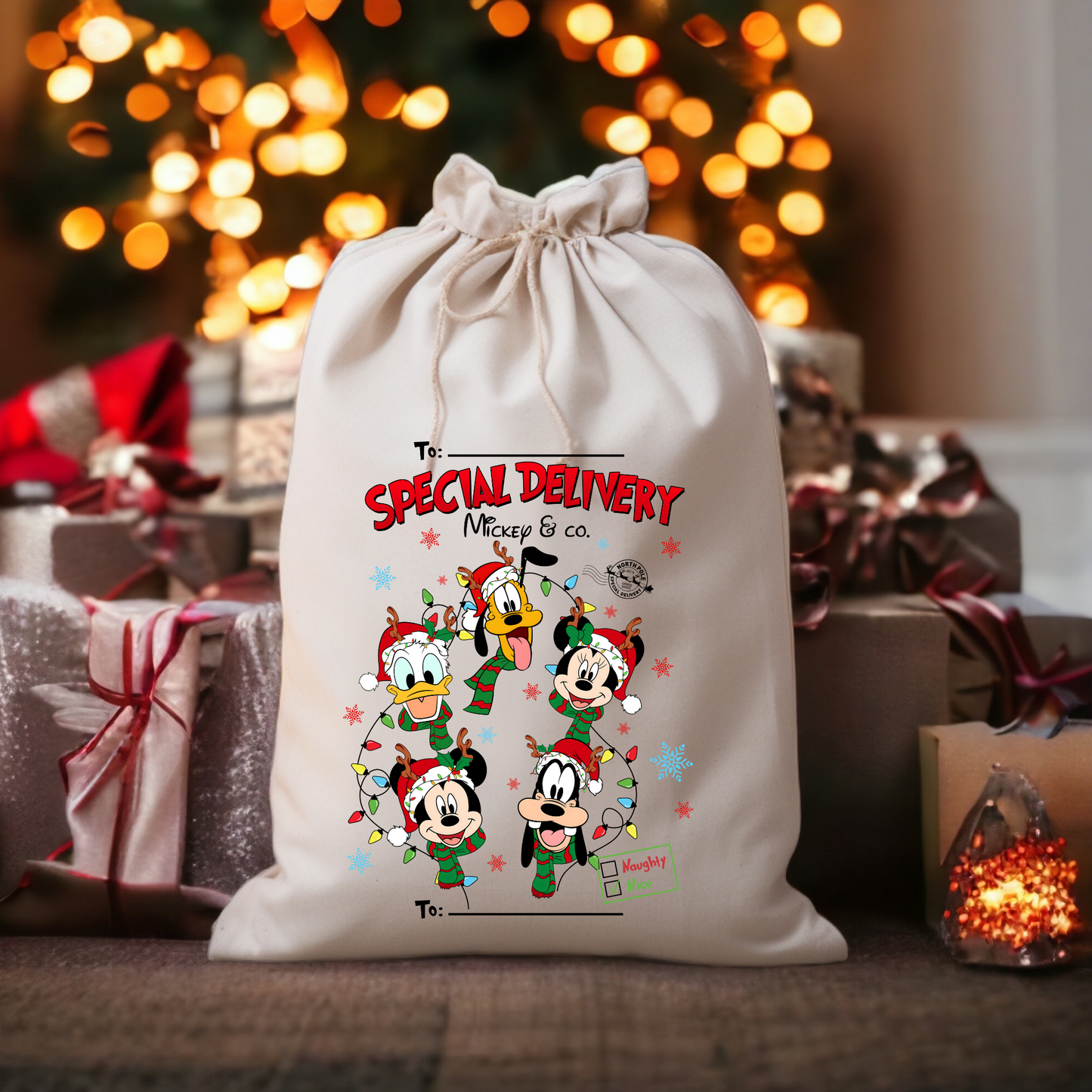 Santa Sacks *PRE-ORDER* Closes Dec 5th at 11:59pm PST