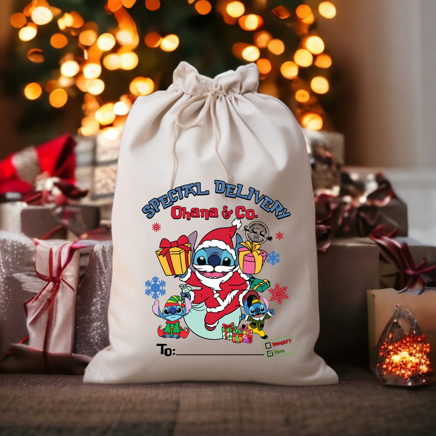 Santa Sacks *PRE-ORDER* Closes Dec 5th at 11:59pm PST